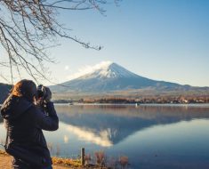 Exploring the Captivating Charm of Japan: A Traveler's Handbook
