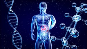 Gut Health Habits Most People Can Do Without Complicated Plans Or Special Stuff